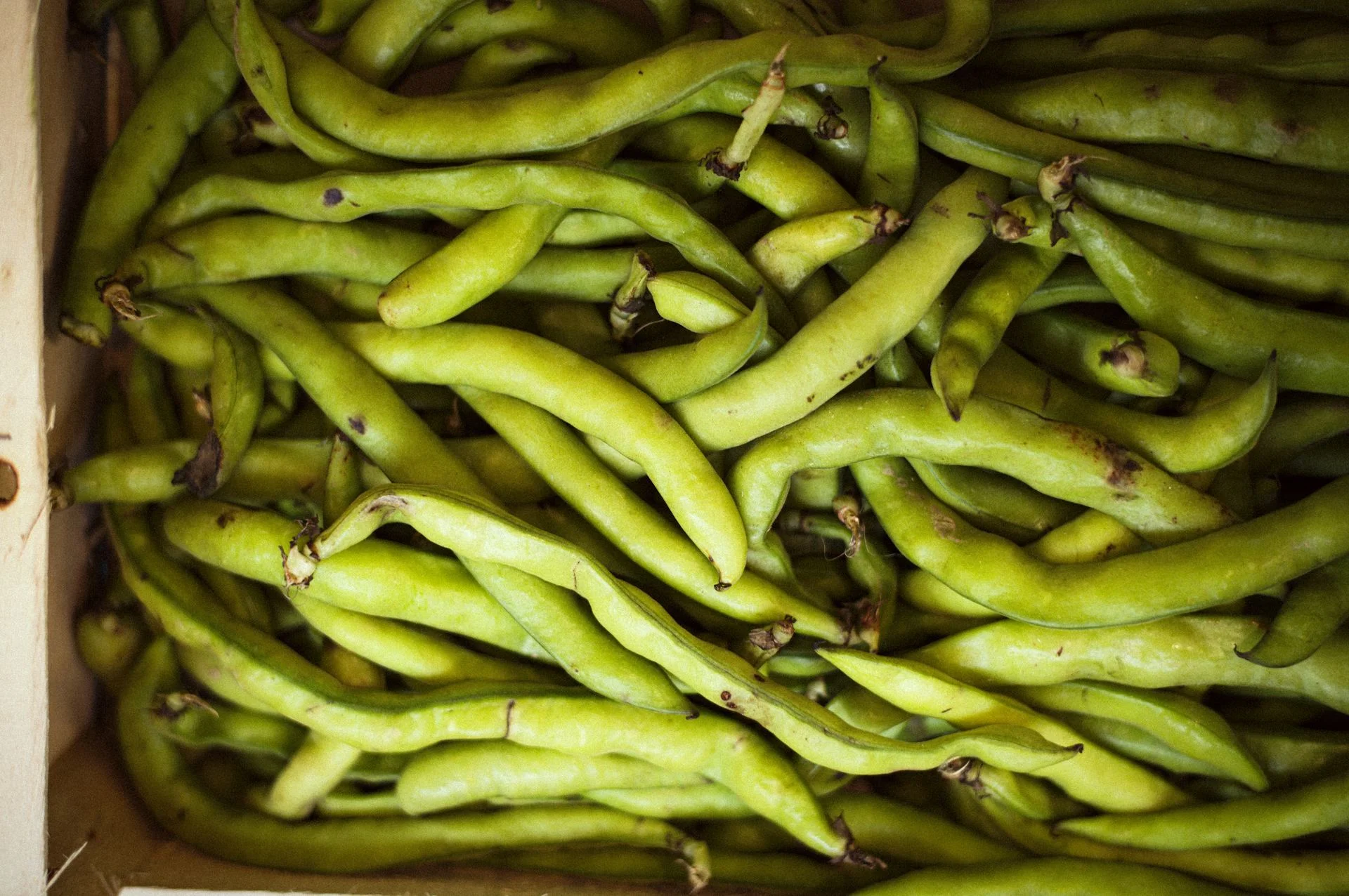 Haricots verts frais illustrant les créateurs de goût à base d'aliments réels EATTT obtenus par fermentation