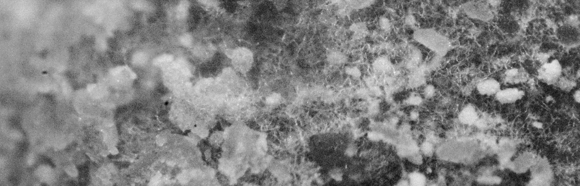 Macro black and white texture of fermentation, banner for EATTT's Innovation and Fermentation page