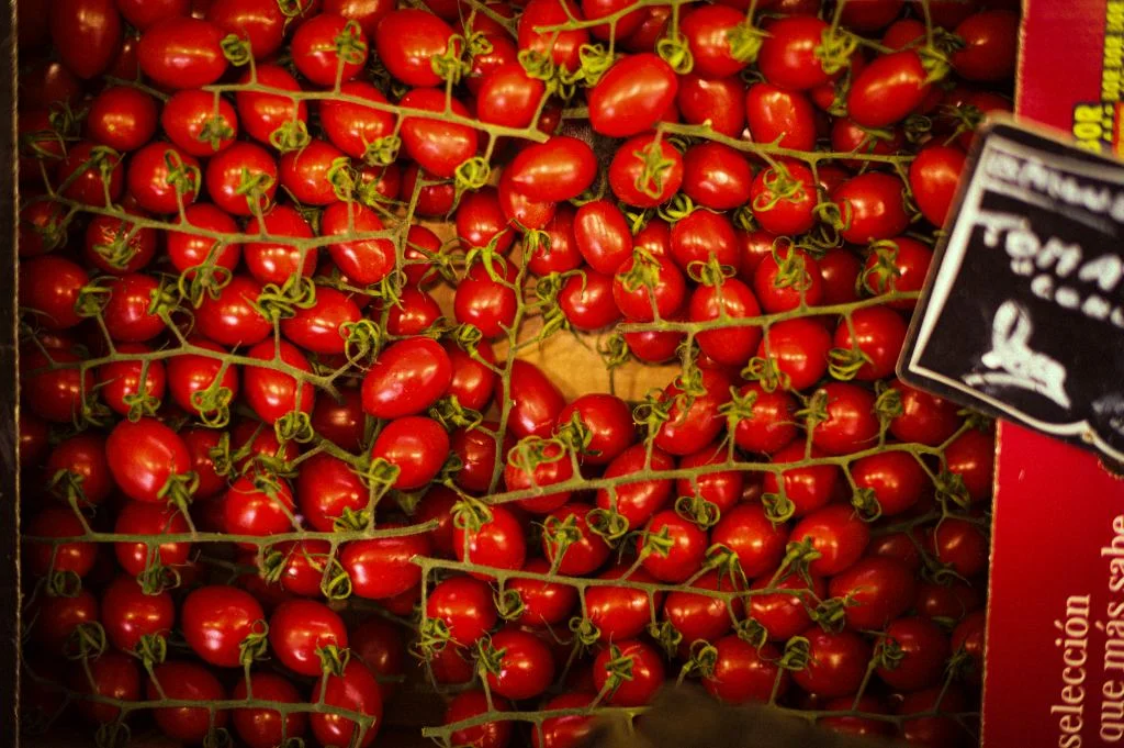 Fresh cherry tomatoes on the vine with Food for Thought blog banner text